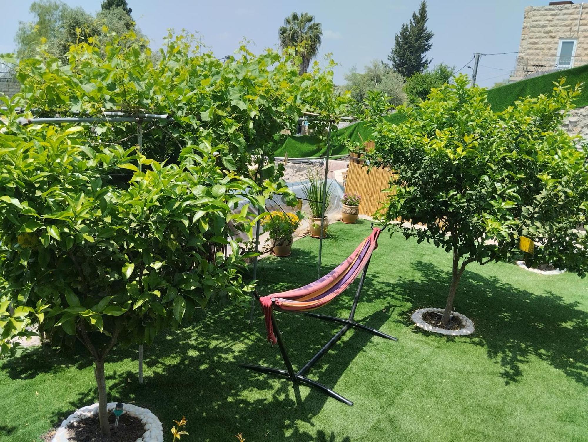 Apartamento קסם עין כרם Jerusalén Exterior foto